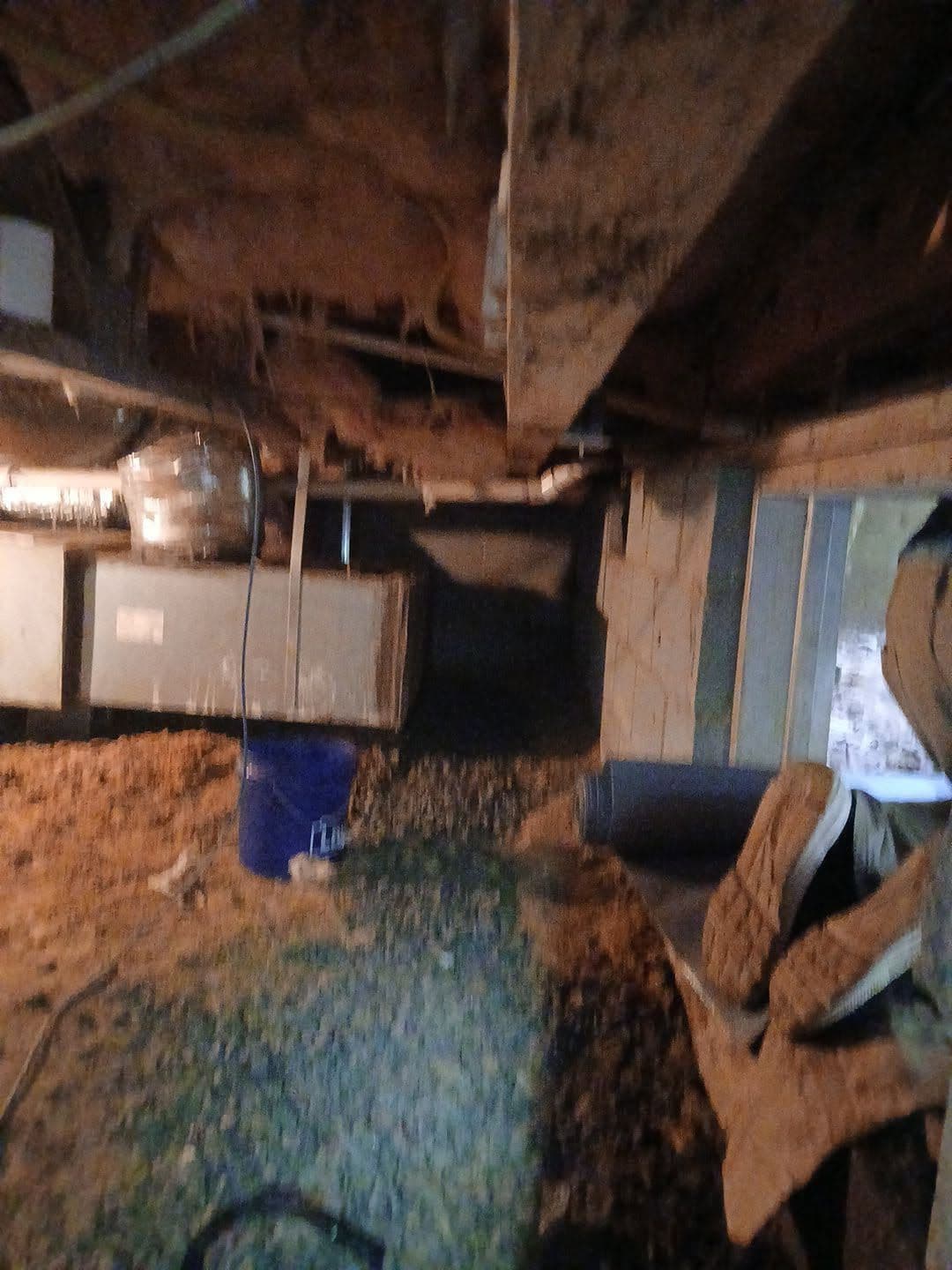 Gallery photos for Interior French Drain and Moisture Control in Durham: Image #1