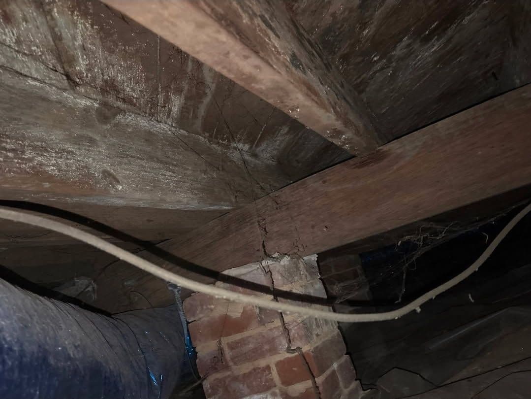 Project Transform Your Crawl Space into a Clean, Safe Haven image