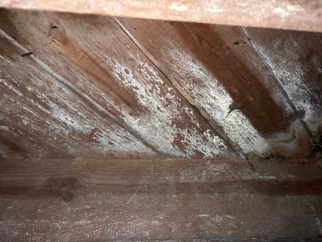 Transform Your Crawl Space into a Clean, Safe Haven