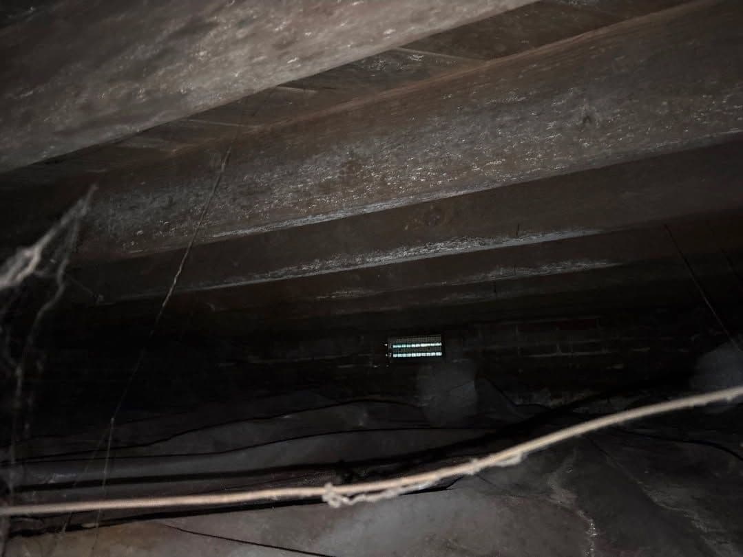 Transform Your Crawl Space into a Clean, Safe Haven