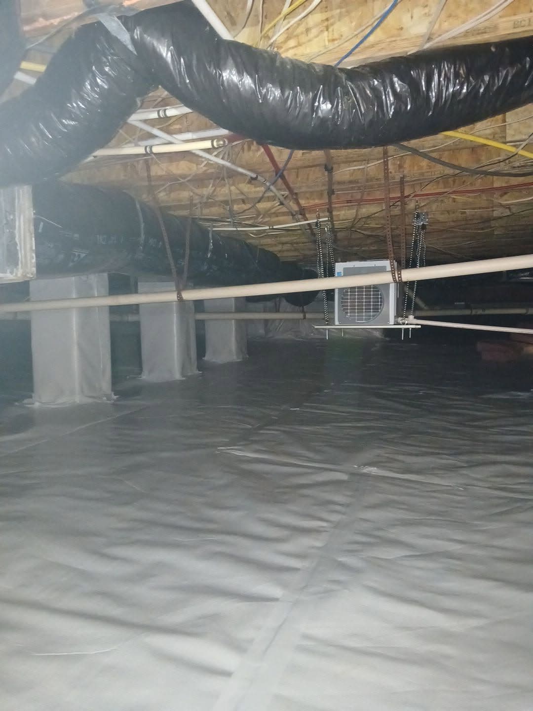 Crawl Space Encapsulation Success in Chapel Hill image